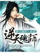逆天魂师