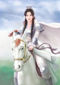 奇情野史八贤王